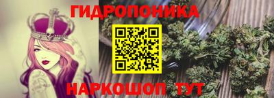 a pvp Краснокаменск
