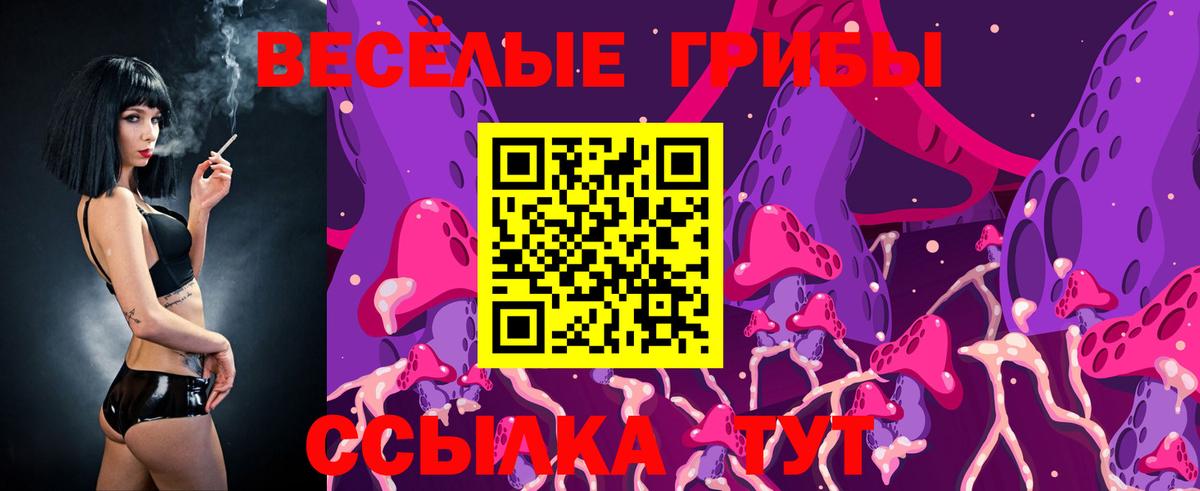 Саяногорск  Галлюциногенные грибы мухоморы  Вход с VPN  Псилоцибиновые грибы MAGIC MUSHROOMS 